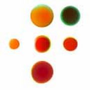 Logo FysiotherapieKlarenbeek